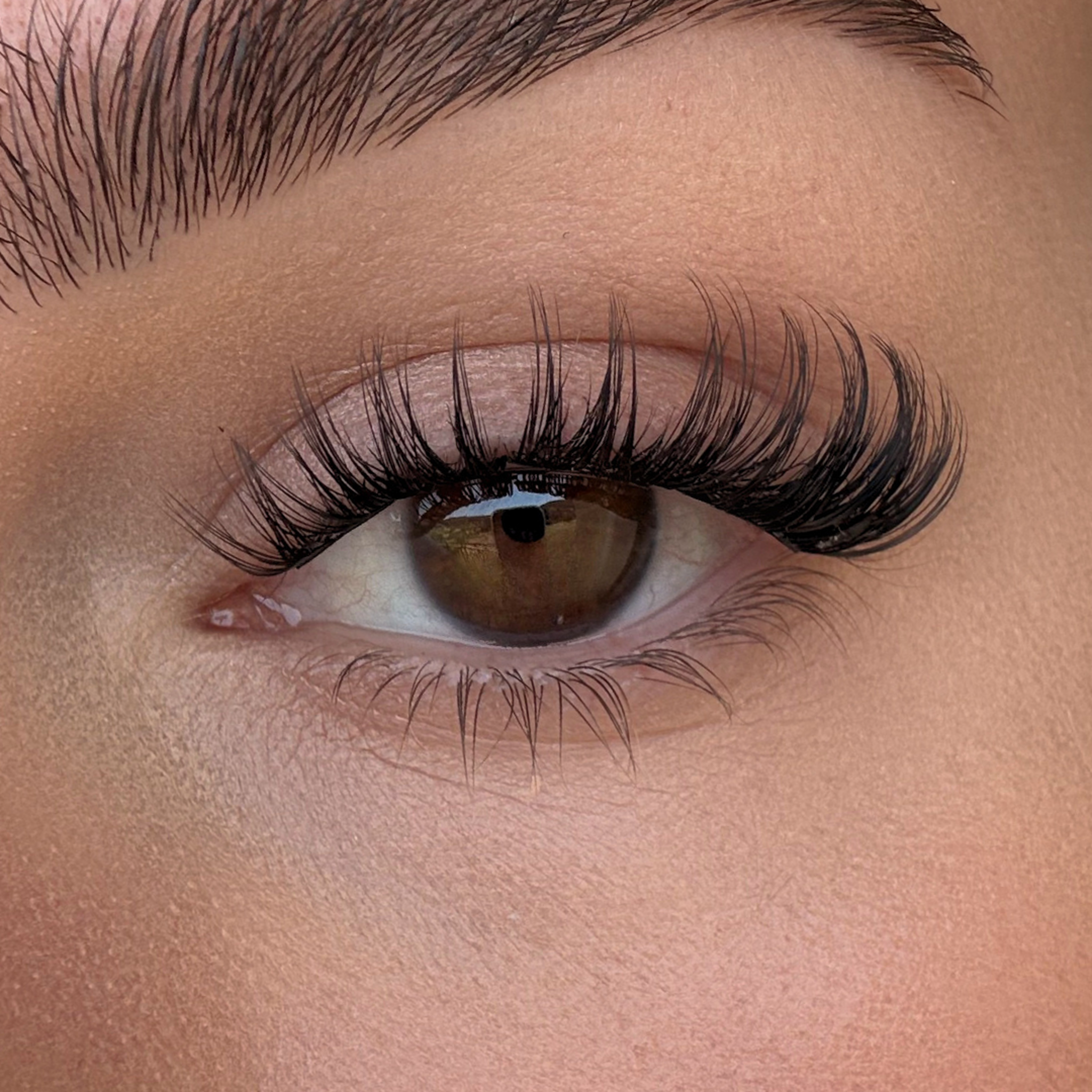 N°29 Wispy Seduction｜Cils Press-On Premium