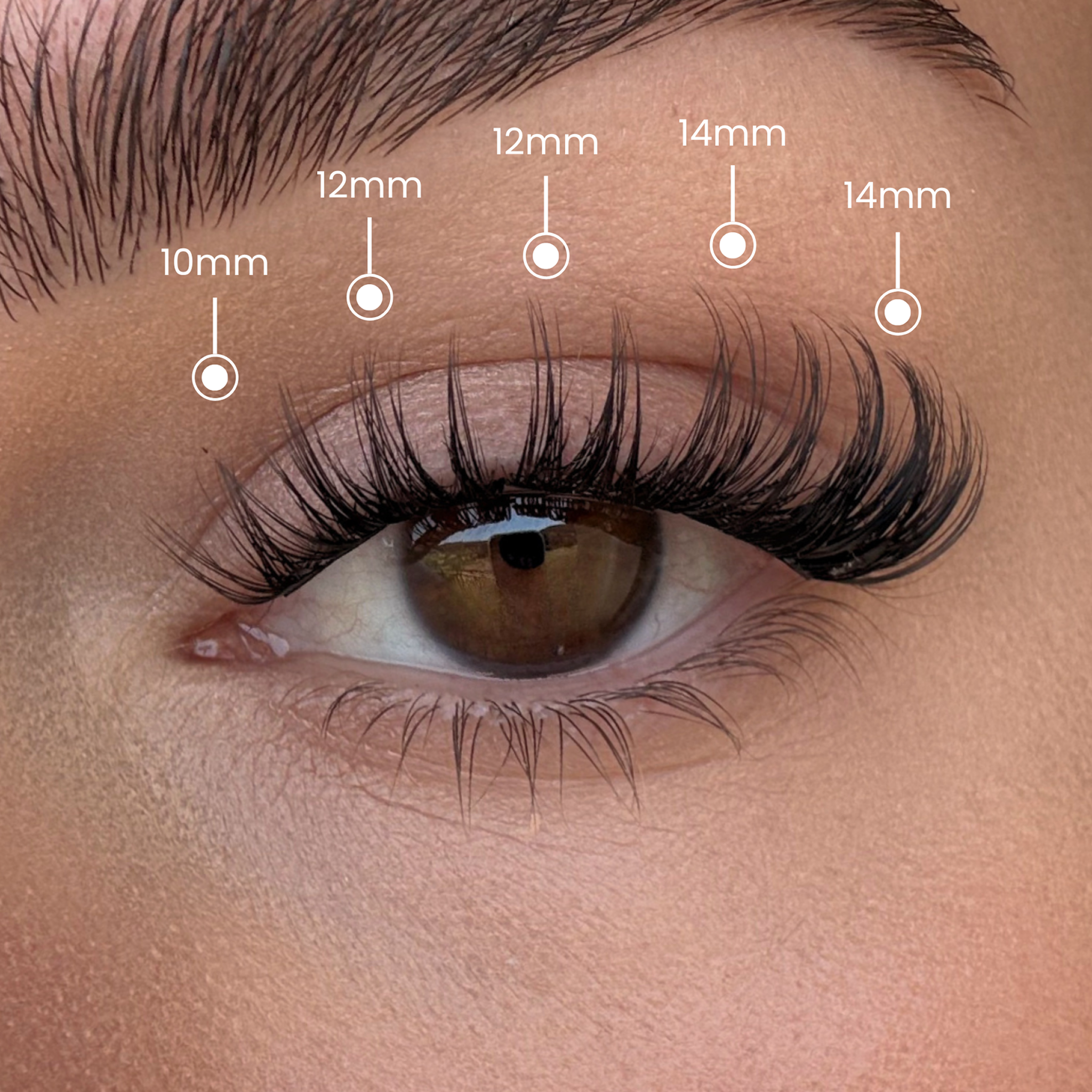 N°29 Wispy Seduction｜Cils Press-On Premium